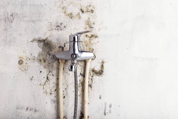 Best Basement Mold Remediation in Heavener, OK