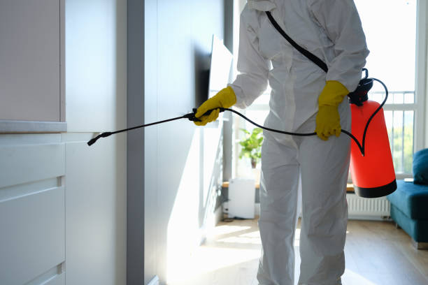 Professional Mold Remediation in Heavener, OK
