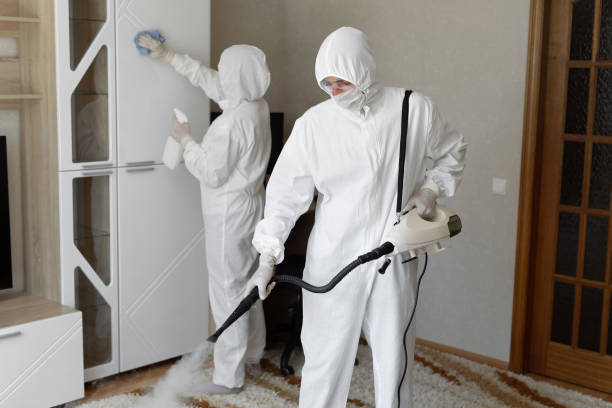 Best Post-Flood Mold Remediation in Heavener, OK