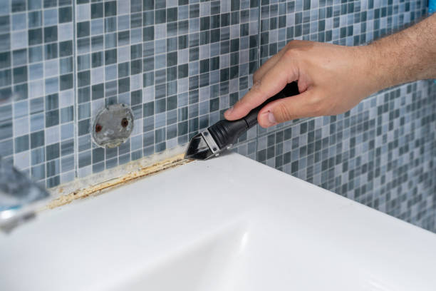 Best Health and Safety Mold Remediation in Heavener, OK