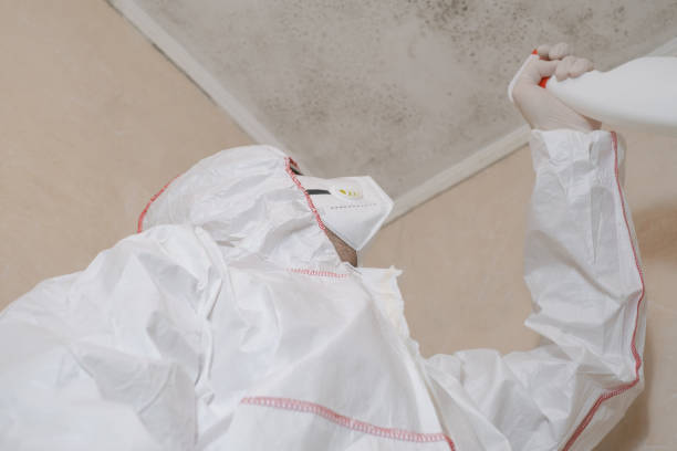 Best Mold Remediation for Specific Building Types in Heavener, OK